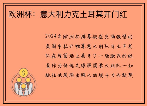 欧洲杯：意大利力克土耳其开门红