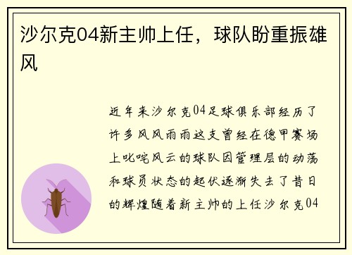 沙尔克04新主帅上任，球队盼重振雄风